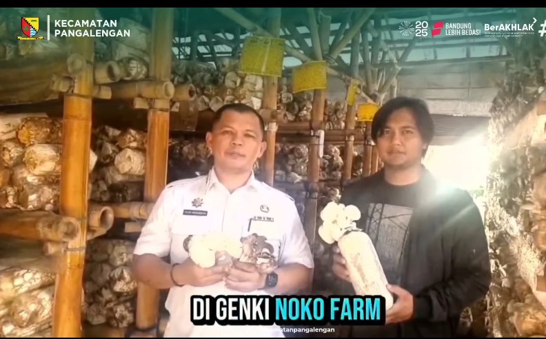 kunjungan-ke-sentra-budidaya-jamur-bertempat-di-kp-cilaki-desa-sukaluyu-kecamatan-pangalengan