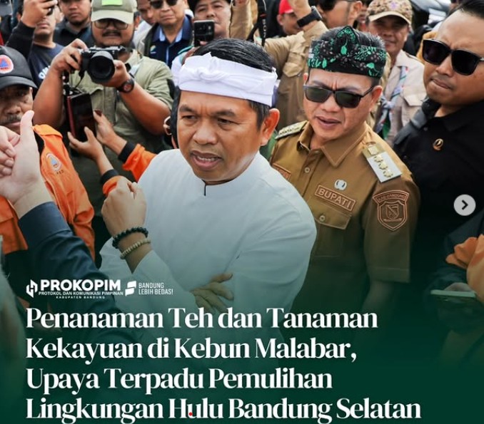 upati-bandung-dadang-supriatna-bersama-gubernur-jawa-barat-kang-dedi-mulyadi-melaksanakan-kegiatan-penanaman-tanaman-komoditi-teh-dan-tanaman-kekayuan-di-kebun-malabar