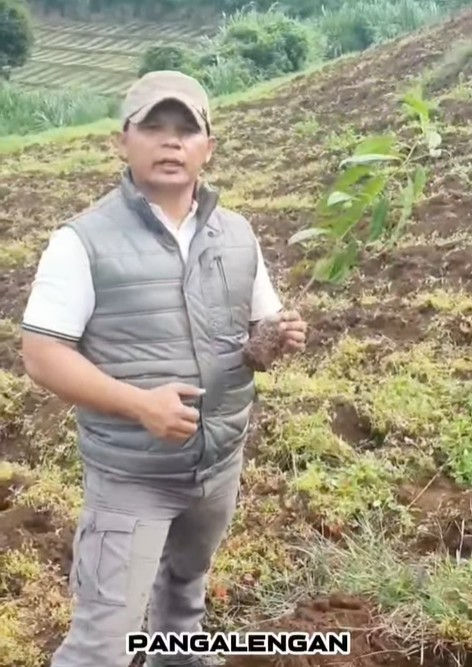 camat-pangalengan-beserta-staf-melaksanakan-penanaman-pohon-di-area-retakan-kampung-cibitung-desa-margamukti-kecamatan-pangalengan